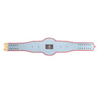 Arizona Diamondbacks MLB Championship Belt