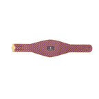 Los Angeles Lakers NBA Championship Belt