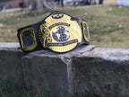 WCW World Tag Team 24K Gold Championship Belt